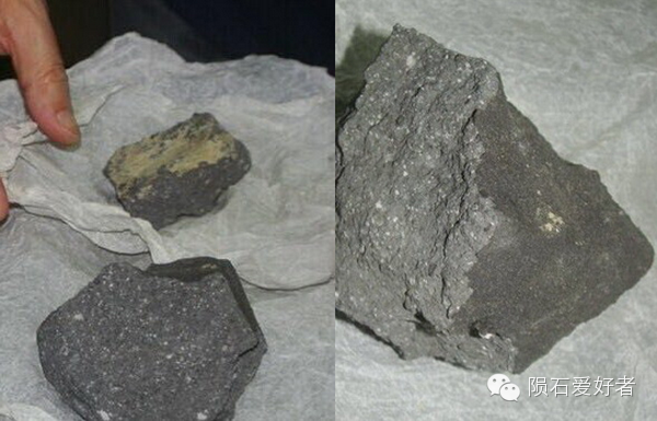 中国第一碳质球粒陨石——宁强陨石降落33周年纪念专刊