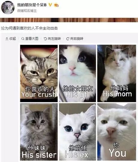 让芭比娃娃怀孕,亏他想得出来……-怀孕期