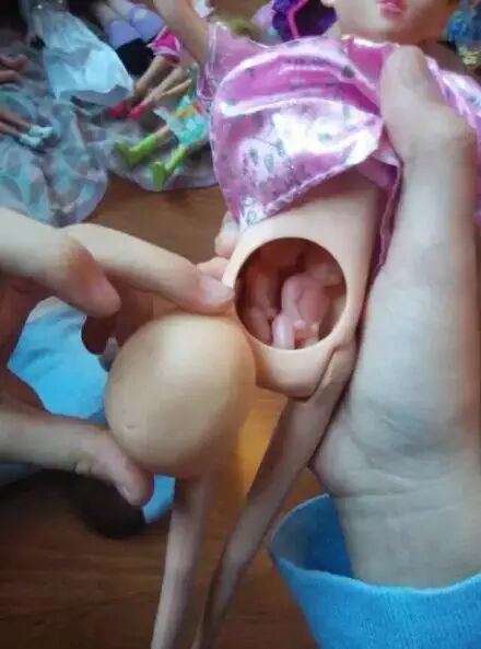 让芭比娃娃怀孕,亏他想得出来……-怀孕期