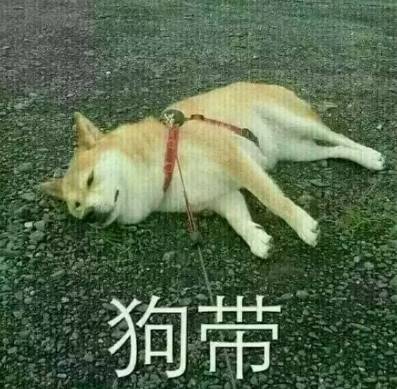 让芭比娃娃怀孕,亏他想得出来……-怀孕期