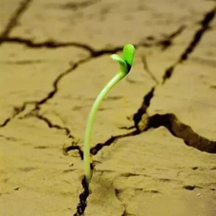 4月19日俞敏洪在海尔大学的演讲：开除自己才不会被时代淘汰