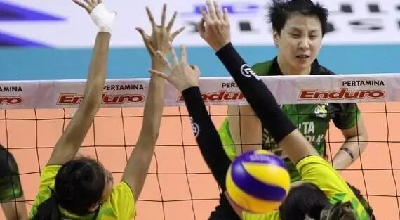 印尼女排联赛常规赛落幕,王一梅张磊加盟队第一