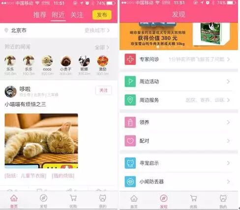 疼惜了6年的爱犬暴毙，他一怒之下做了这件事……