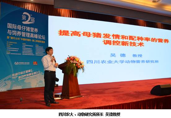 吴德:怀孕母猪阶段营养特点及不同饲喂模式-怀孕期