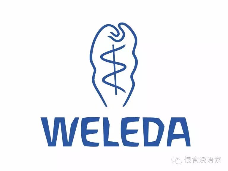 莹莹的怀孕日记(上) “孕早期到中期的方方面面”-怀孕期