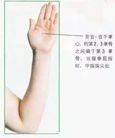 经络笔有什么作用【美诺分享】美诺经络笔穴位按摩，点通全身经脉，和身体病痛说拜拜！_https://www.jmylbn.com_新闻资讯_第6张