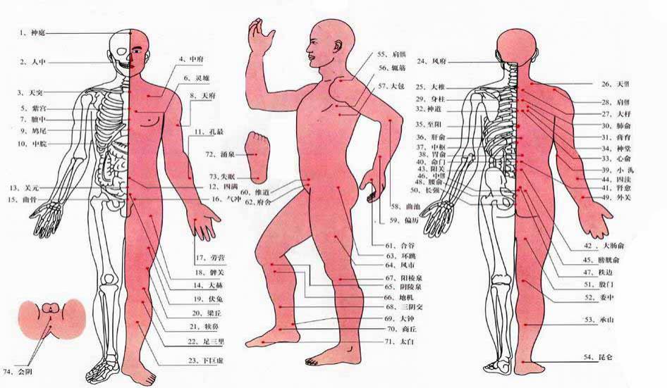 经络笔有什么作用【美诺分享】美诺经络笔穴位按摩，点通全身经脉，和身体病痛说拜拜！_https://www.jmylbn.com_新闻资讯_第8张