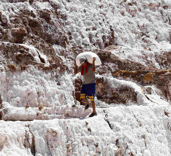 最纯净的食盐——喜马拉雅岩盐