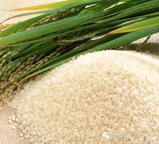 中国八大地标米，你吃过几种？