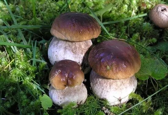 圖片關(guān)鍵詞