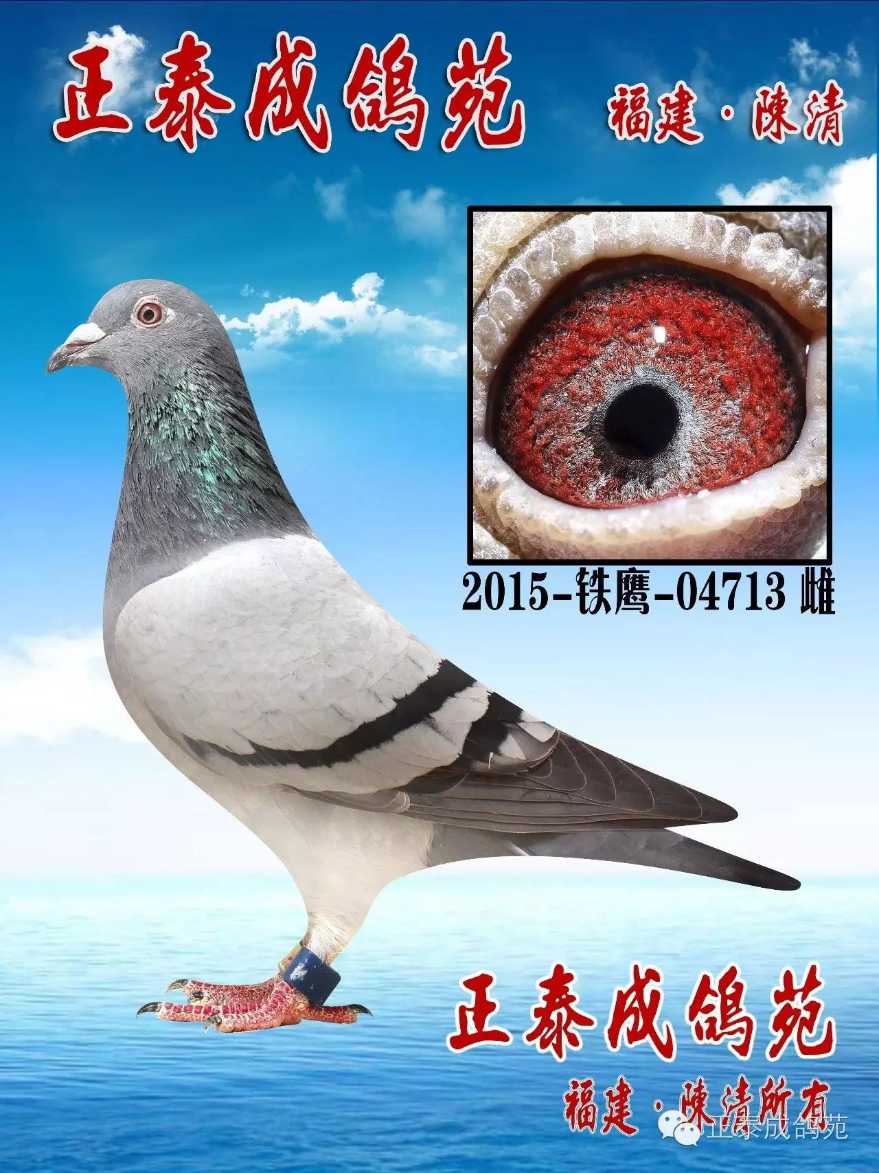 开创者(北京)"铁鹰四关"挑战赛第十五名