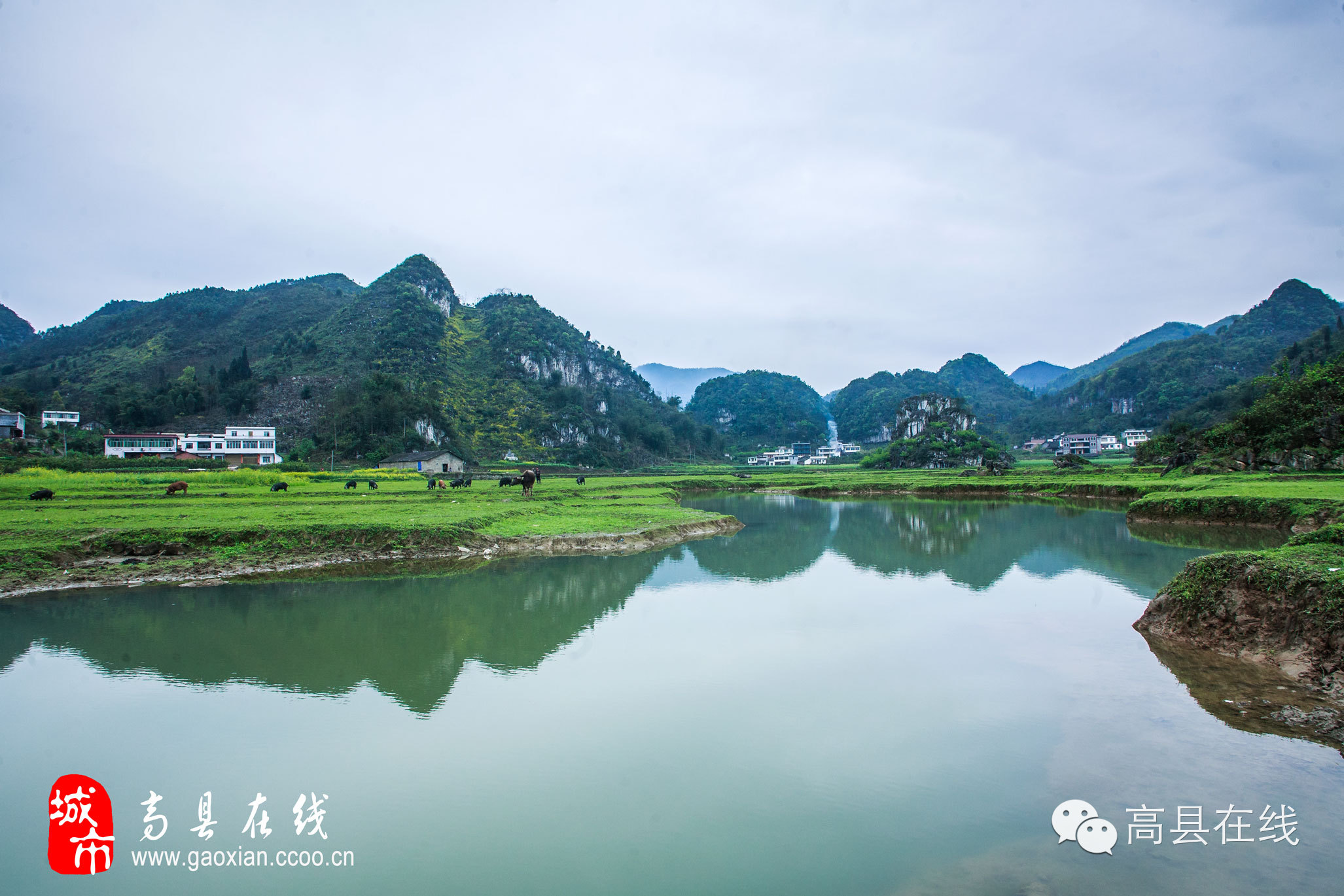 登錄查看大圖