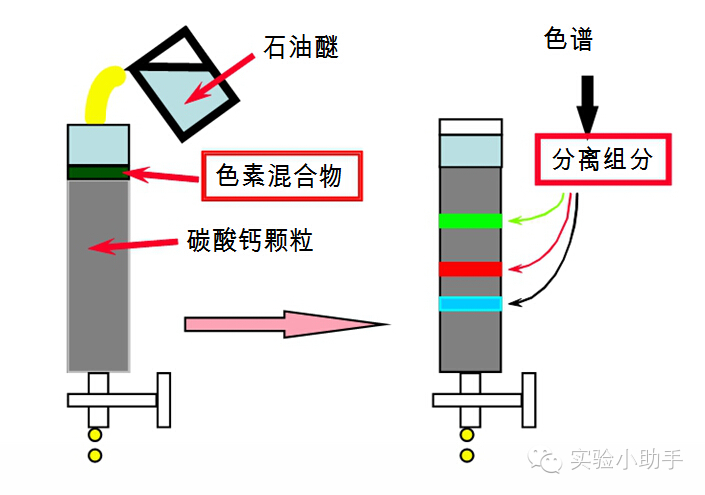 色谱仪的基础知识