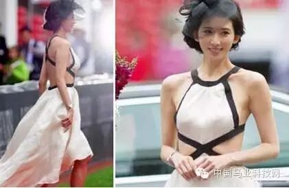 2016上海环球马术冠军赛:女神林志玲将赛场助阵