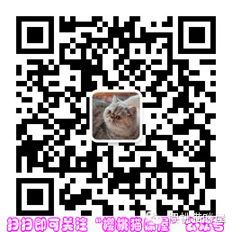 猫猫的牙齿生长阶段