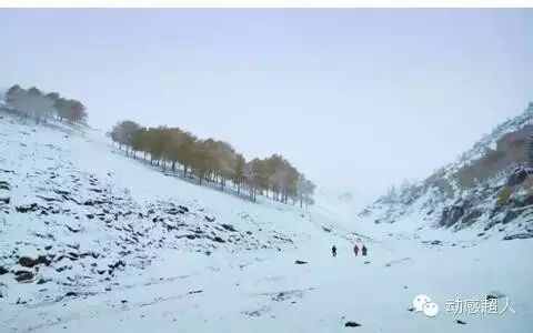 厉娜王青在暴雪中的哈萨克族大迁徙