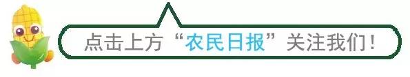 国家扶持的农村创业项目_国家扶持农村项目_2018国家扶持农村项目