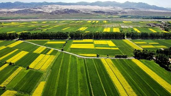 ☞政策|财政部发布农业资金和项目管理办法