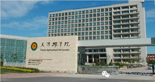 2024年南開大學濱海學院錄取分數線及要求_南開大學濱海學院高考分數線_南開大學的濱海學院分數線