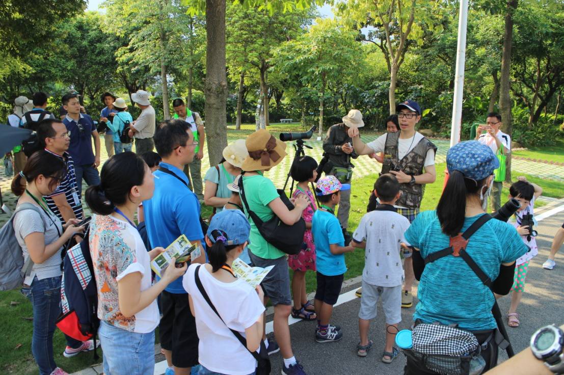 公益自然导赏课程是海珠湿地自然学校面向