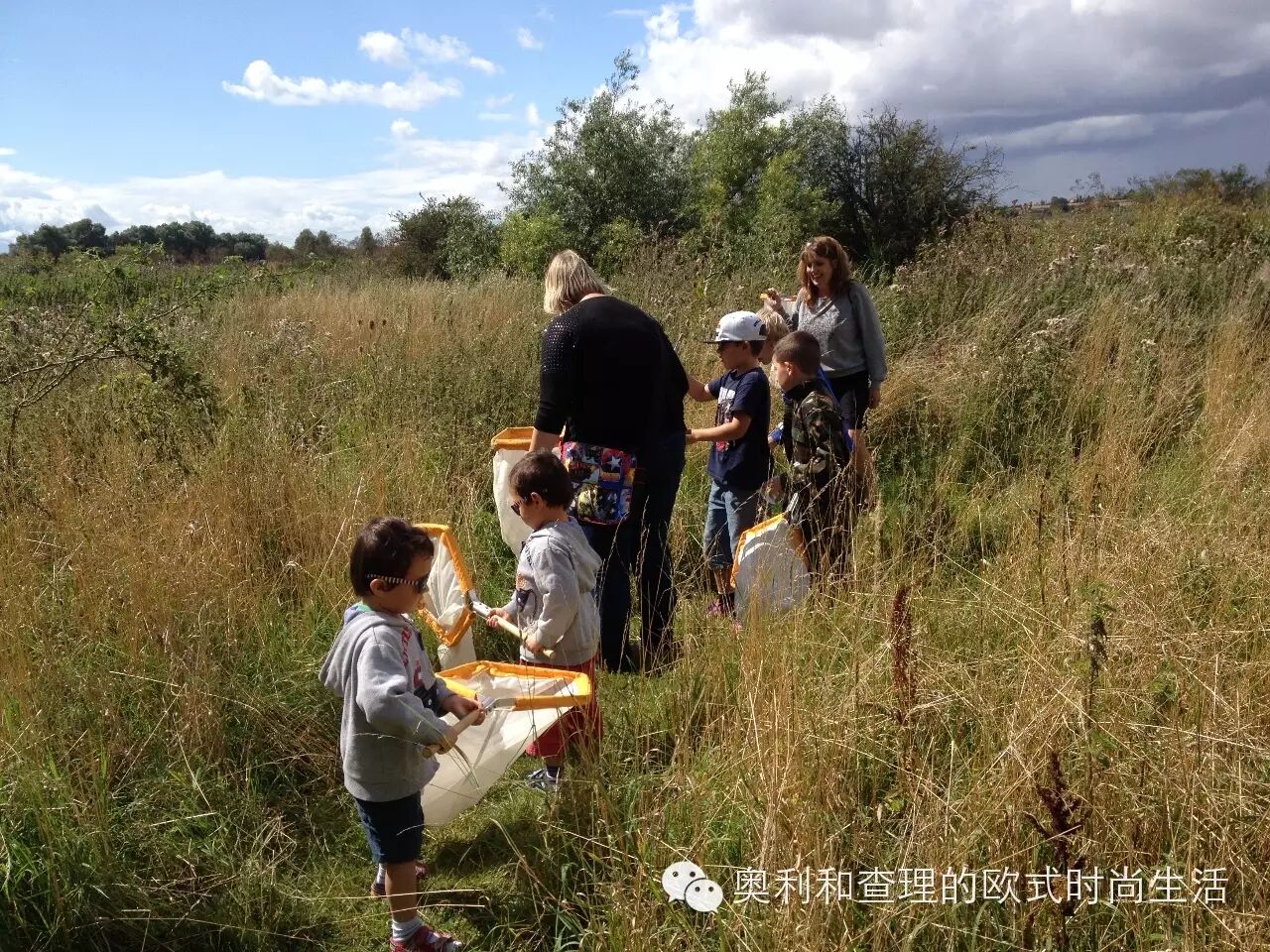 英国小朋友暑期在自然中学习昆虫知识，老妈狂补生物课！
