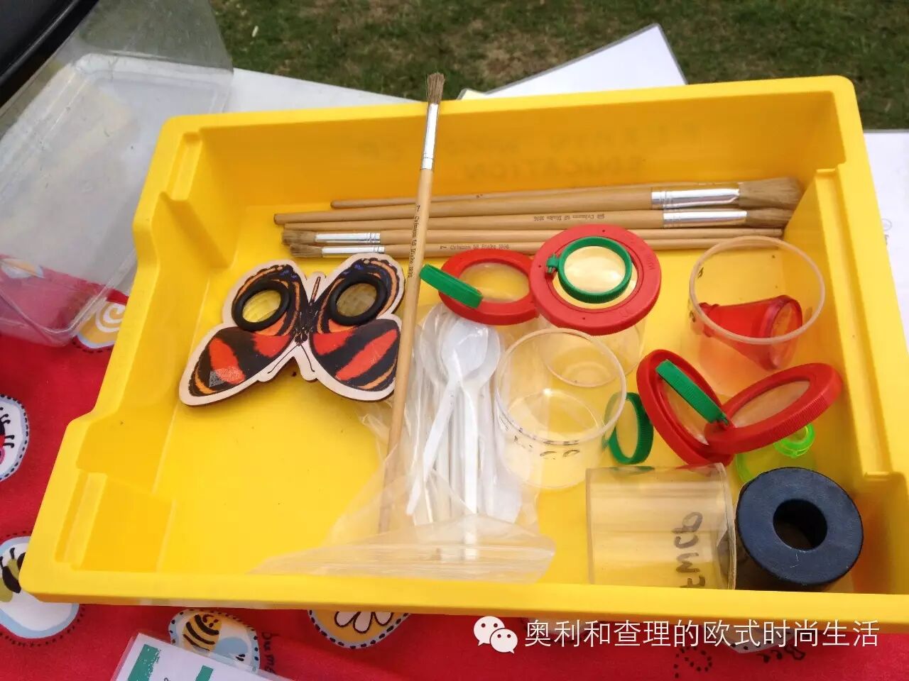 英国小朋友暑期在自然中学习昆虫知识，老妈狂补生物课！