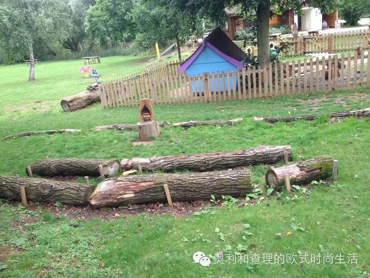 英国小朋友暑期在自然中学习昆虫知识，老妈狂补生物课！