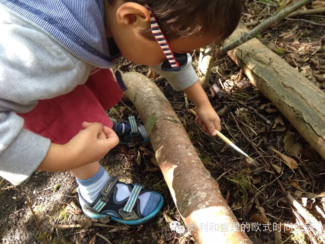 英国小朋友暑期在自然中学习昆虫知识，老妈狂补生物课！