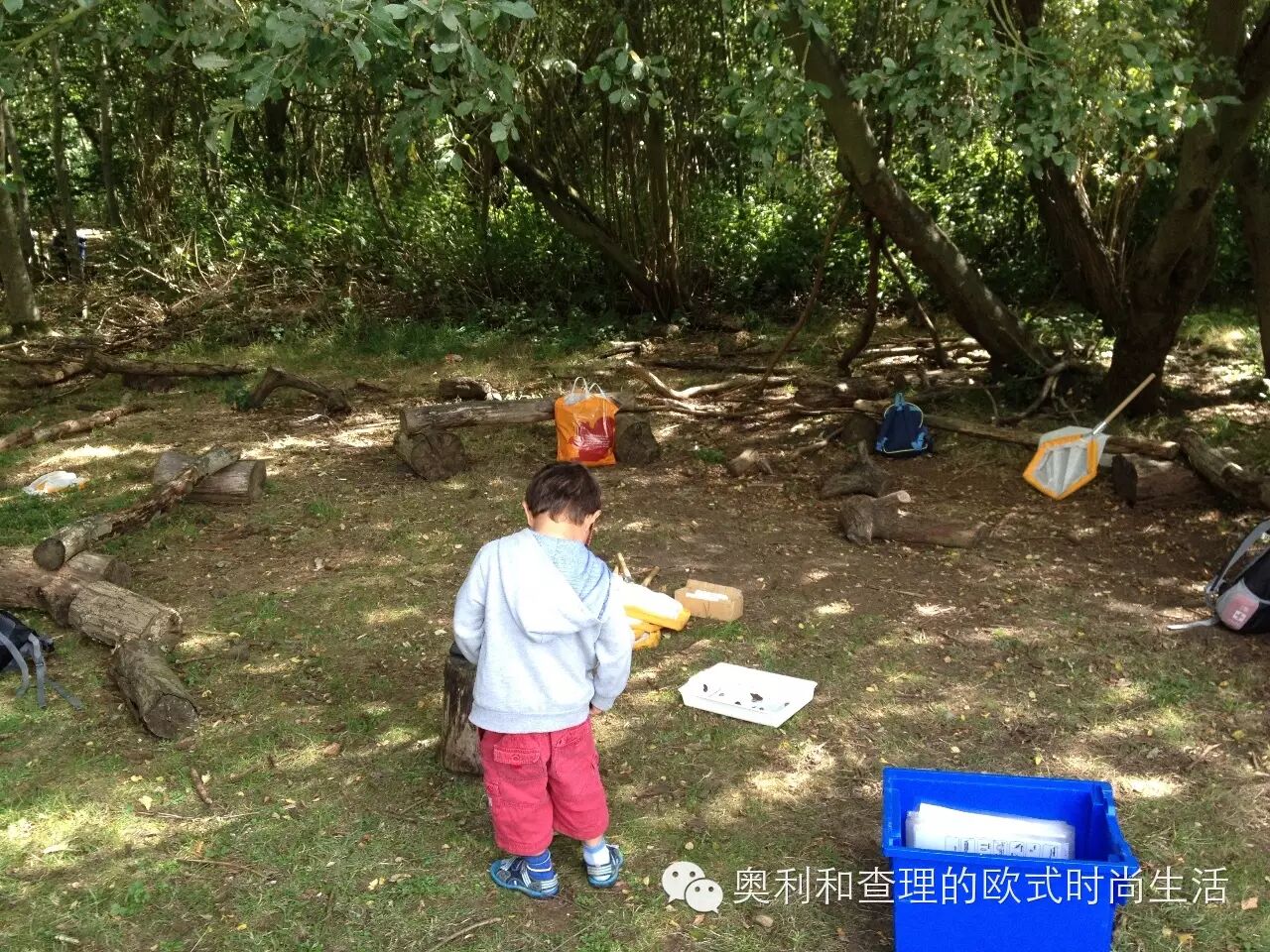 英国小朋友暑期在自然中学习昆虫知识，老妈狂补生物课！