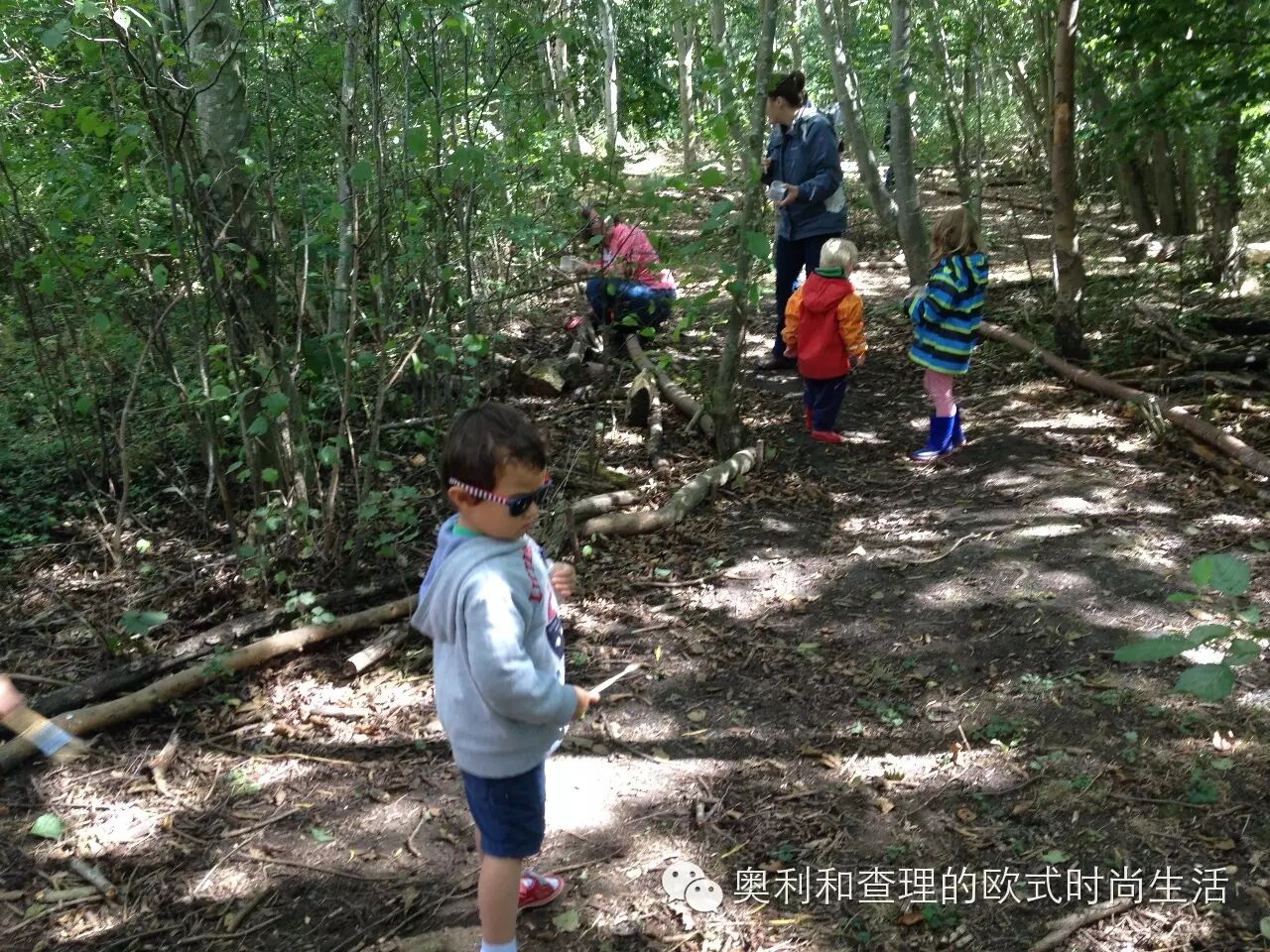 英国小朋友暑期在自然中学习昆虫知识，老妈狂补生物课！