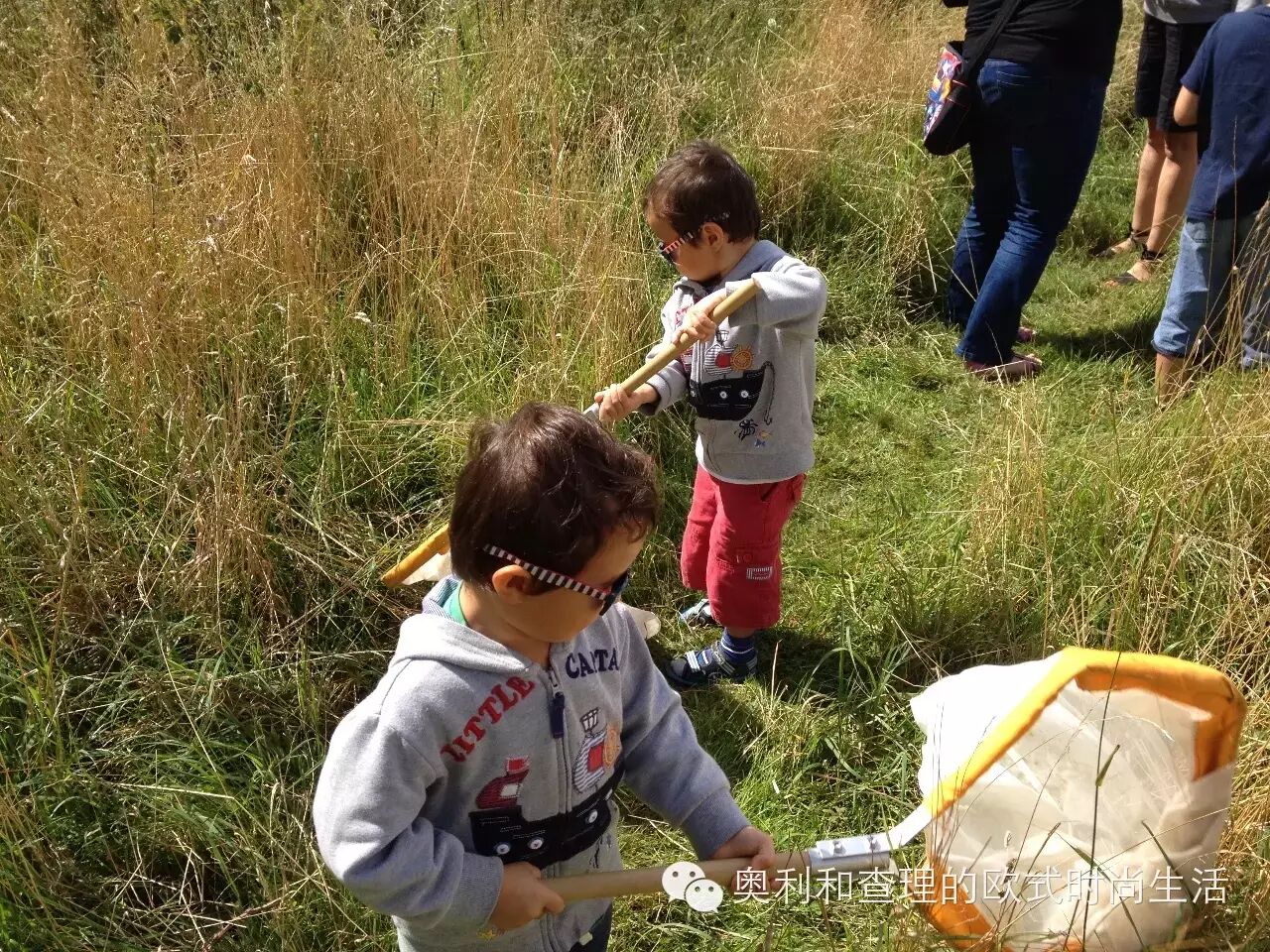 英国小朋友暑期在自然中学习昆虫知识，老妈狂补生物课！