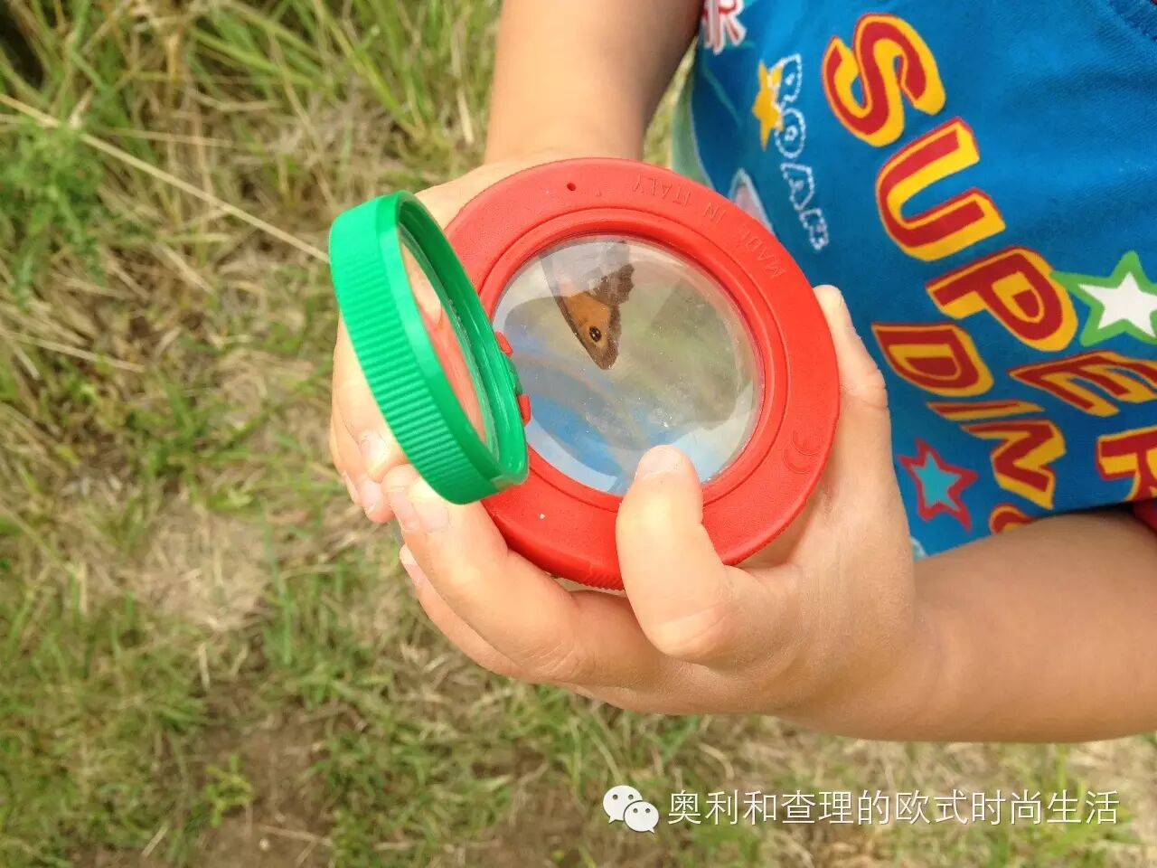 英国小朋友暑期在自然中学习昆虫知识，老妈狂补生物课！