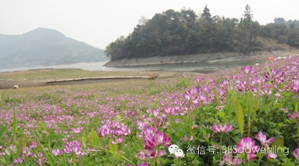 温岭户外十大徒步路线