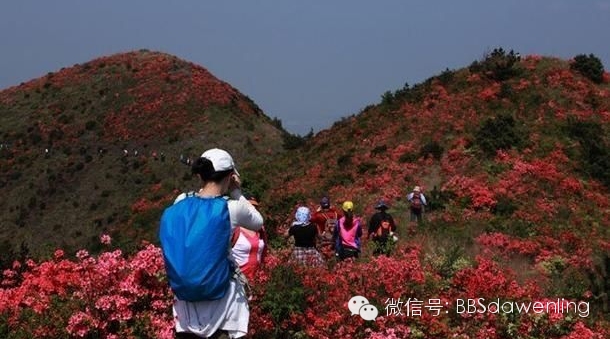 温岭户外十大徒步路线