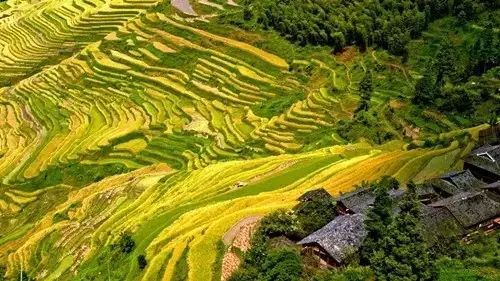 最美人間四月天，最適合春游的9大目的地