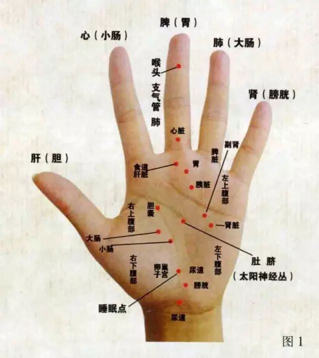 手指按摩 - 清平 - 清平世界 你所有的“秘密”都在五个指头上,神奇的五指养生! - 依然 - 陕西冶金医院中医扁桃体科