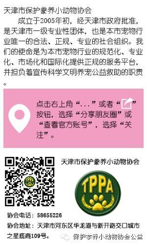 宠物生化机器怎么使用【宠医知识课堂】犬猫生化检查指标的解读及其临床意义_https://www.jmylbn.com_新闻资讯_第3张