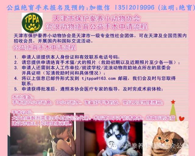 宠物生化机器怎么使用【宠医知识课堂】犬猫生化检查指标的解读及其临床意义_https://www.jmylbn.com_新闻资讯_第1张