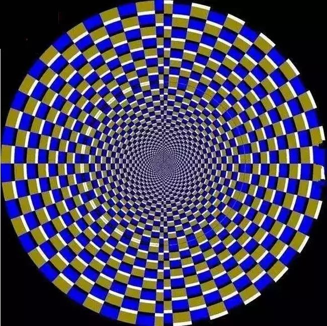 盯着某一个圈看时,它似乎是静止的, 但它周围其他的圈却似乎旋转