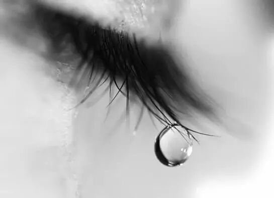 子宫畸形和怀孕结局-怀孕期