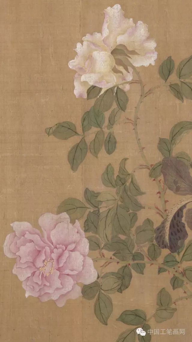 没骨画欣赏,太美啦!