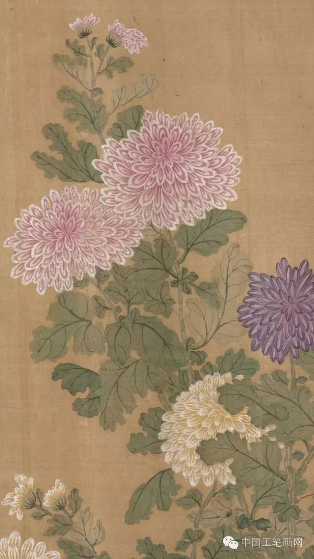没骨画欣赏,太美啦!