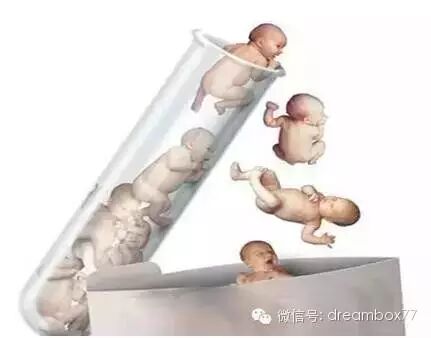 45岁婆婆对怀孕儿媳说“你老公挺孤单,我想生二胎”!-怀孕期