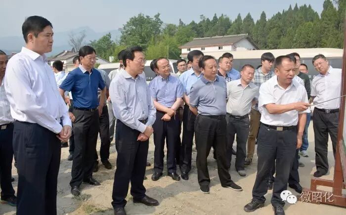 王菲邹自景来昭化区调研三江新区建设——“三江新区是广...