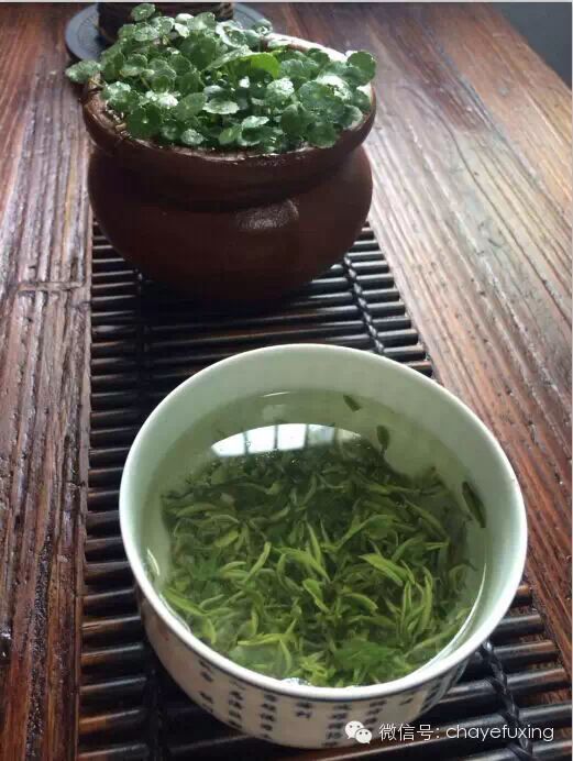 一杯清茶碧螺春「夏日嚒嚒茶」