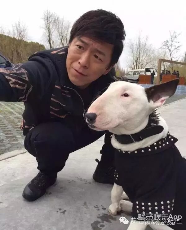 黄渤孙红雷,你们这么撕,考虑过狗的感受吗?