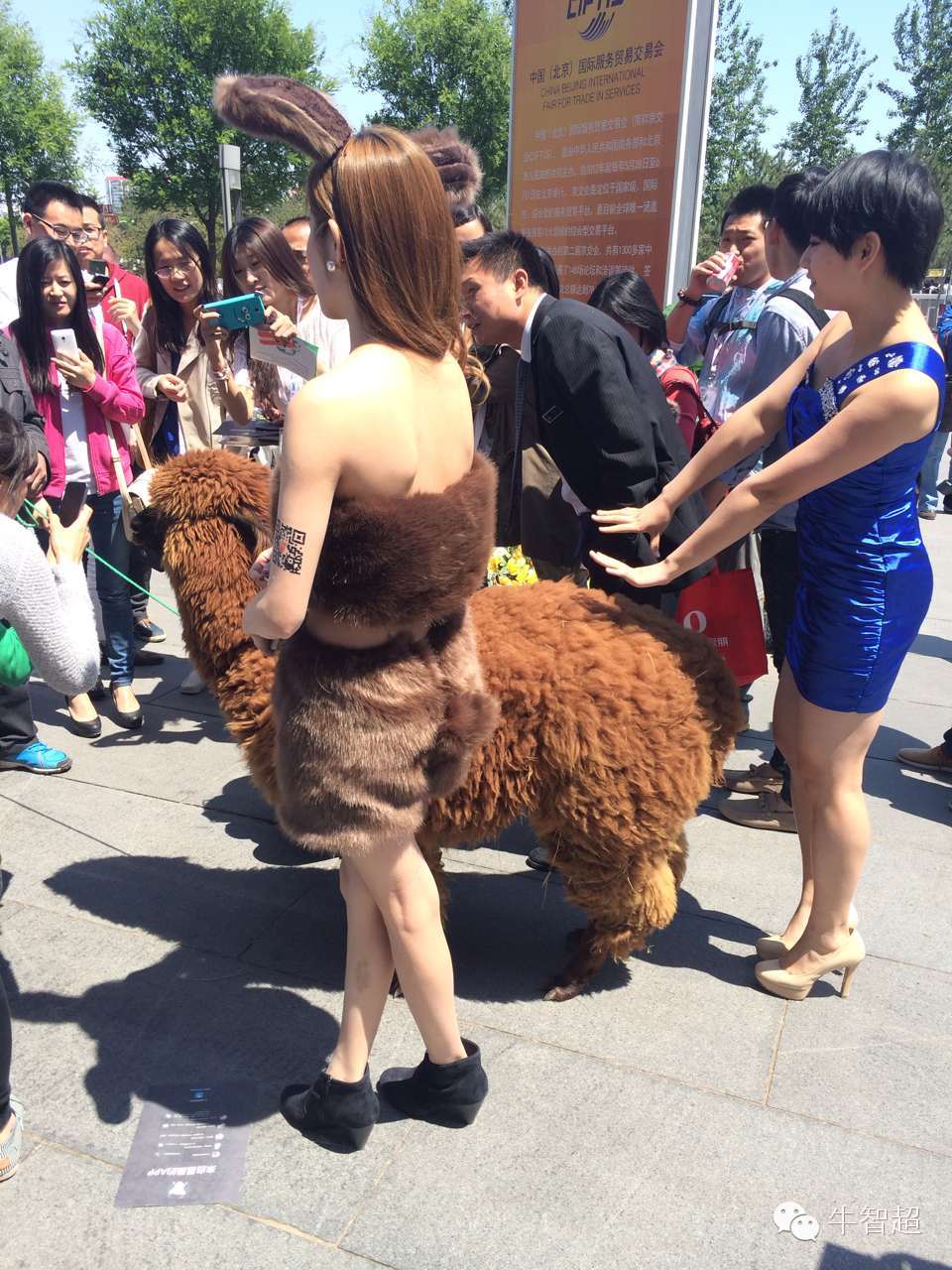 GMIC？内什么，我只看妹子！！,互联网的一些事