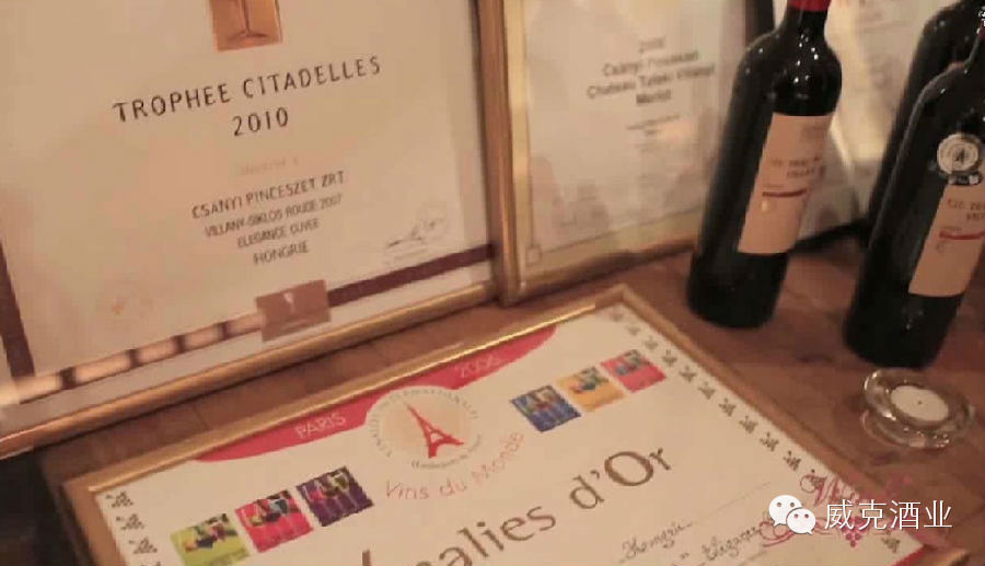 来自匈牙利最大酒庄的酒中珍品——维拉尼•酷威！