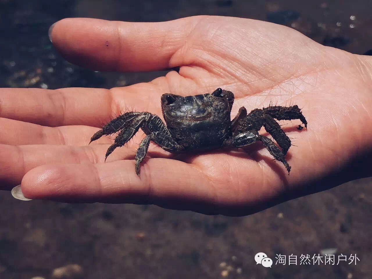 淘游记|花海灿烂,奶茶醇香,桑葚正盛!