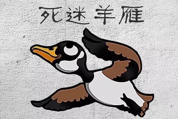 *转载*云南16大萌萌神兽图，看了涨姿势! - 文山卫士 - 文山卫士小园